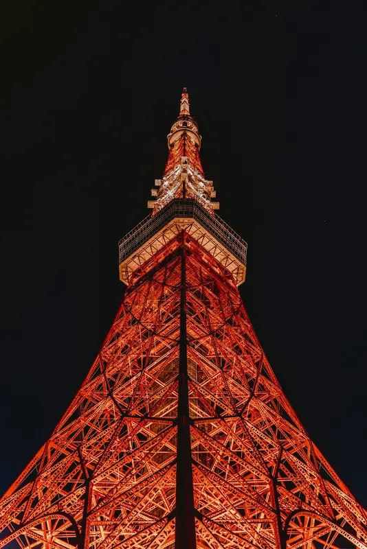 Fraser.Tokyo Premium Domain